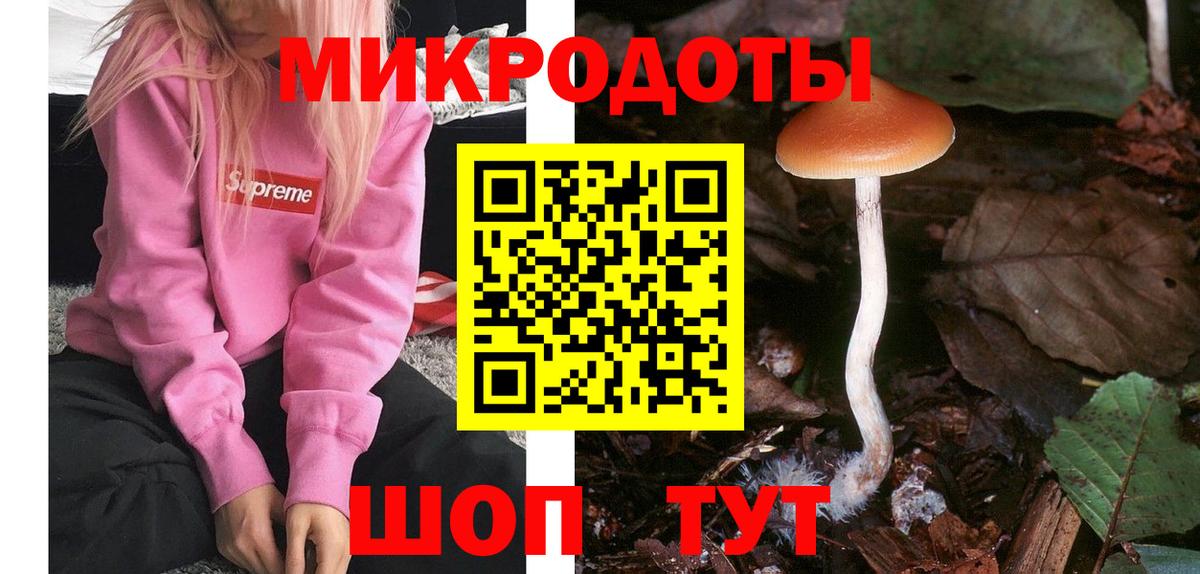 Псилоцибиновые грибы GOLDEN TEACHER Ефремов