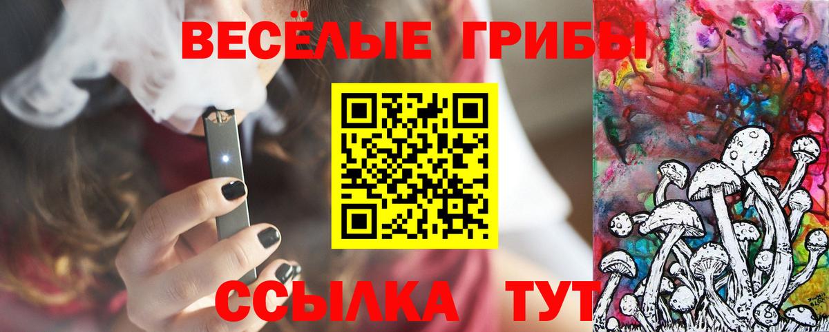 Ефремов  Галлюциногенные грибы Psilocybine cubensis  магазин продажи   Вход с VPN 
